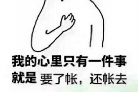 日照企业清欠服务